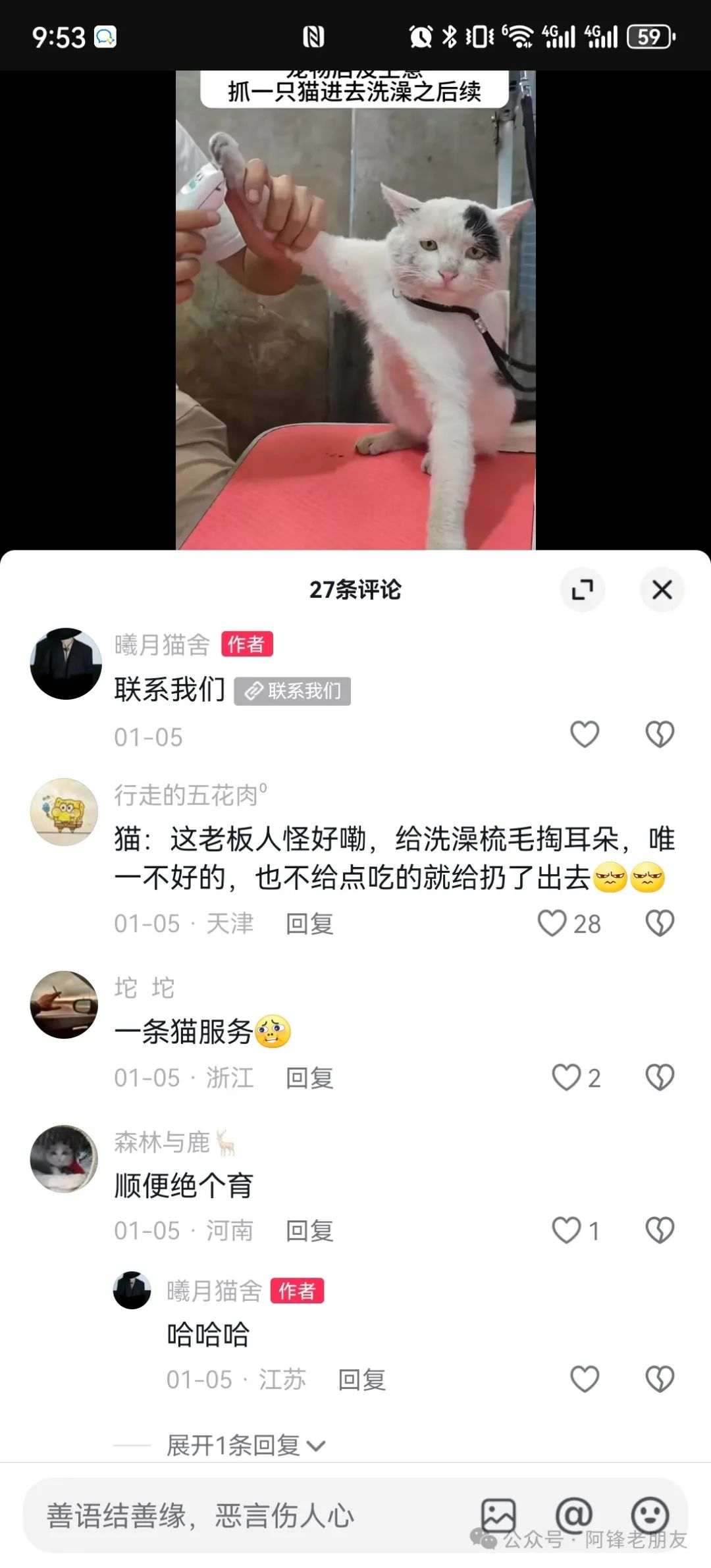 揭秘小猫咪活体抖音打粉项目，高客单价，每单利润 5000+ 认真坚持落地实操 轻松月入过万（篇一）-满知网