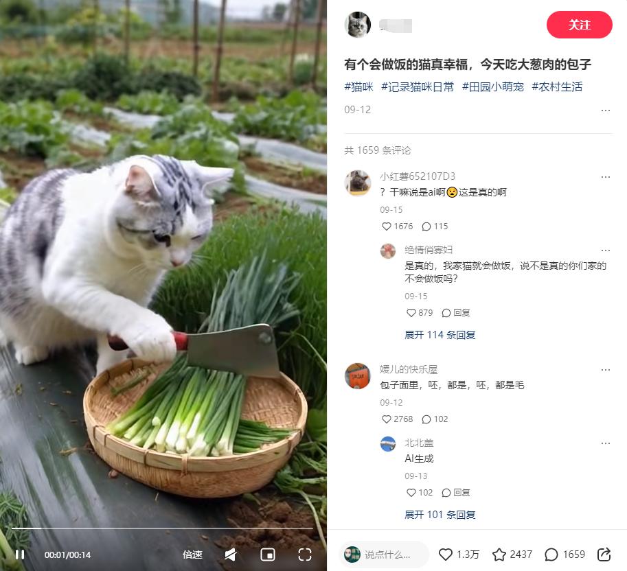 小红书上2个月涨粉2万+ 的猫咪做饭视频  五分钟教会你-满知网